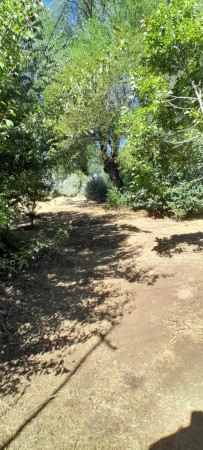 Terreno Barrio Juvenal Guzam