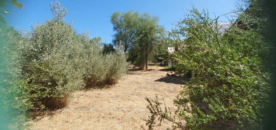 Terreno Barrio Juvenal Guzam