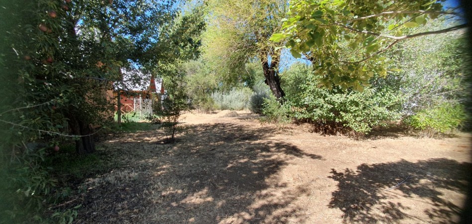 Terreno Barrio Juvenal Guzam
